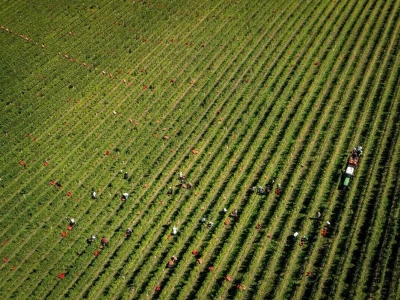 RuralFoto: Najboljih 10 #Proizvodnja