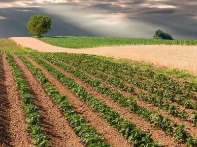 RuralFoto: Najboljih 10 #Proizvodnja