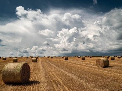 RuralFoto: Najboljih 10 #Proizvodnja