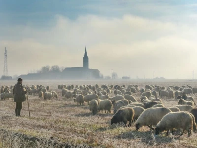 RuralFoto: Najboljih 10 #Selo