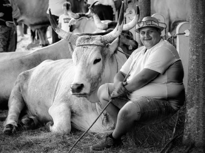 RuralFoto: Najboljih 10 #Selo