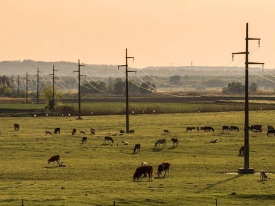 RuralFoto TOP 10 selo