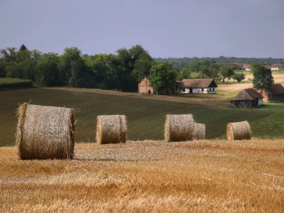 RuralFoto TOP 10 selo
