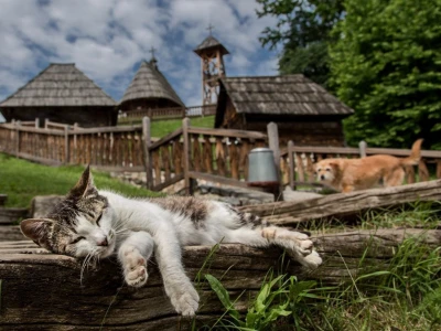 RuralFoto TOP 10 selo
