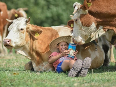 RuralFoto TOP 10 #Životinje