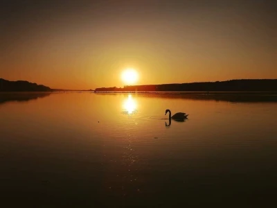 RuralFoto TOP 10 #Životinje