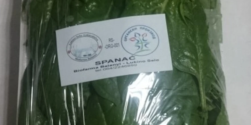 Spanać