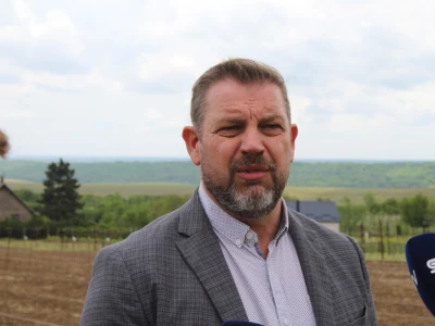Sadnja 279 sorata vinove loze iz cijelog svijeta
