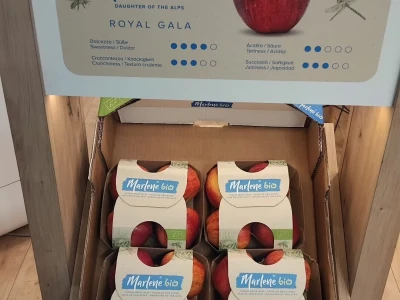Sajam organske poljoprivrede Biofach u Nirnbergu