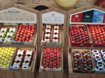 Sajam organske poljoprivrede Biofach u Nirnbergu