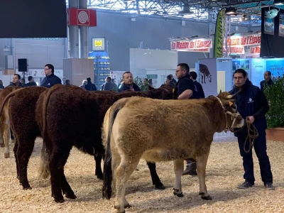 Sajam SIMA sluša priče i snove farmera iz cele Evrope
