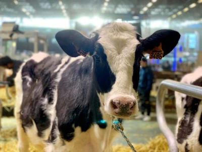 Sajam SIMA sluša priče i snove farmera iz cele Evrope