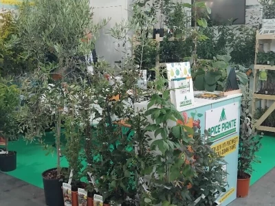 Sajam u Riminiju, Macfrut 2024