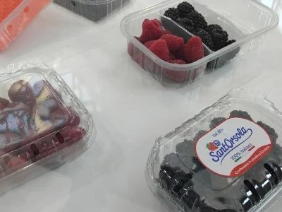 Sajam u Riminiju, Macfrut 2024