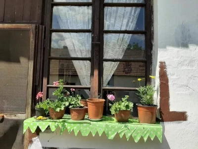 Salaš