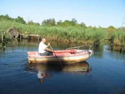 Sam napravio sopstveno jezero - vratio laste, kornjače, barske koke