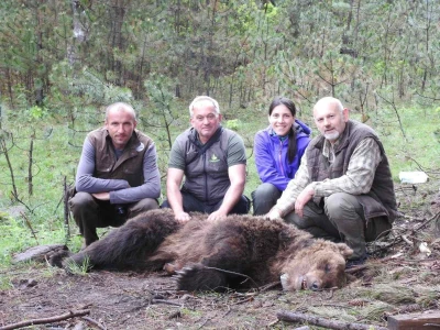 Satelitsko praćenje medveda - Medved Bato