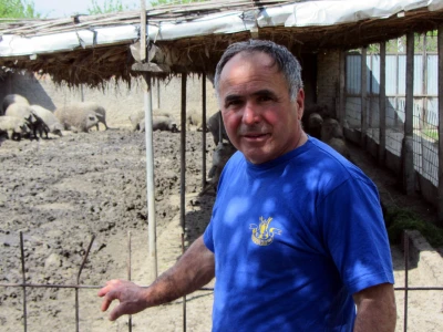 Sava Graorac