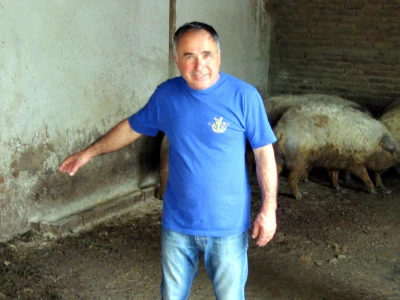 Sava Graorac