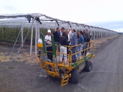 Savremeni voćnjak Delta Agrara