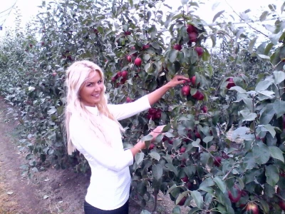 Savremeni voćnjak Delta Agrara