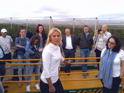 Savremeni voćnjak Delta Agrara