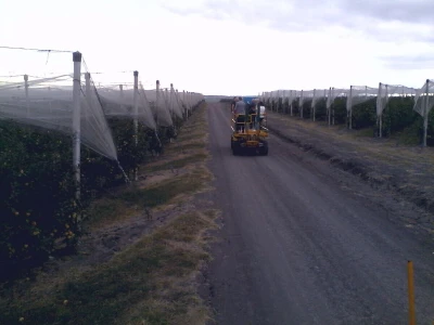 Savremeni voćnjak Delta Agrara