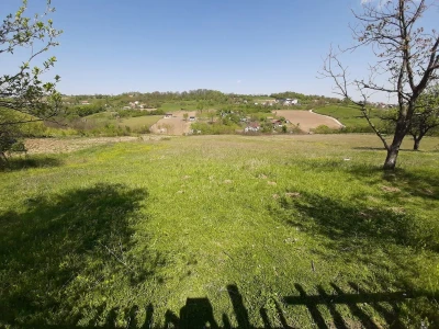 Selo Grabovica