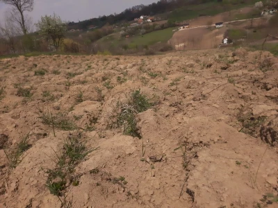 Selo Grabovica