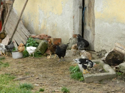 Selo pruža velike mogućnosti