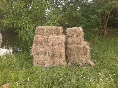 Senaža spas za stočare