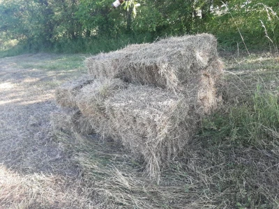 Senaža spas za stočare