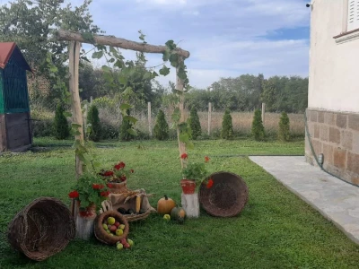 Seoski turizam u Topoli cveta, foto: M. Lazarević