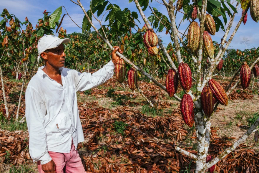 slika fotka