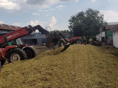 Silaža u Bečeju