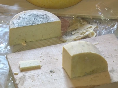 Sirevi koji nemaju rok trajanja