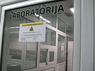 Sirogojno kompani