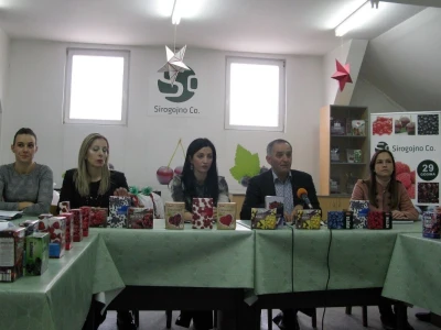 Sirogojno kompani
