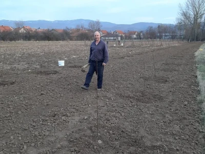 Slavoljub Ljubić