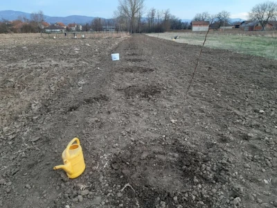 Slavoljub Ljubić