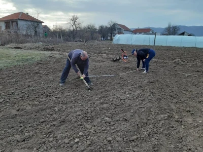 Slavoljub Ljubić