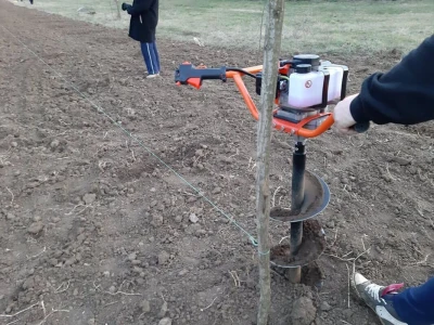 Slavoljub Ljubić
