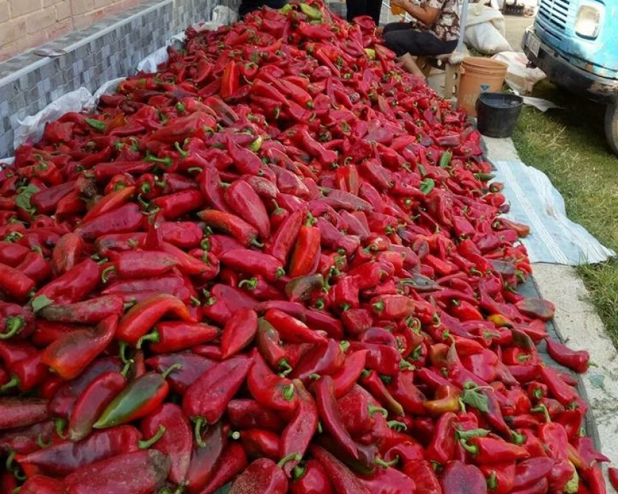 Paprika