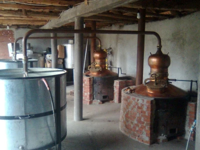 Slobodan Mitić