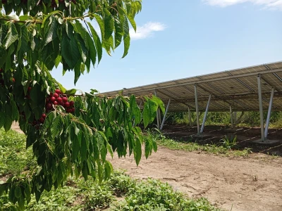 Solarni paneli - navodnjavanje trešanja