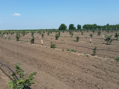 Solarno navodnjavanje