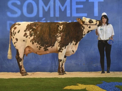 Sommet de l