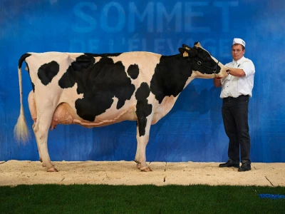 Sommet de l