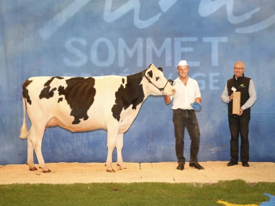 Sommet de l