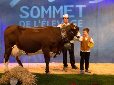 Sommet de l
